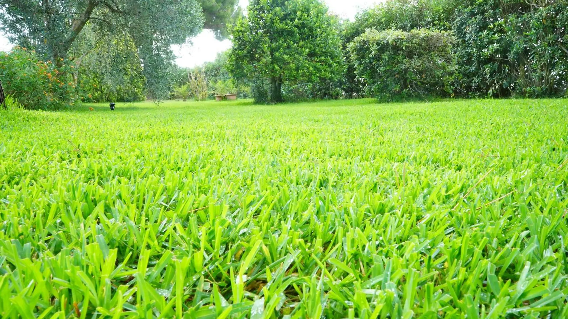 Appartamento Casaisoladelba Lacona