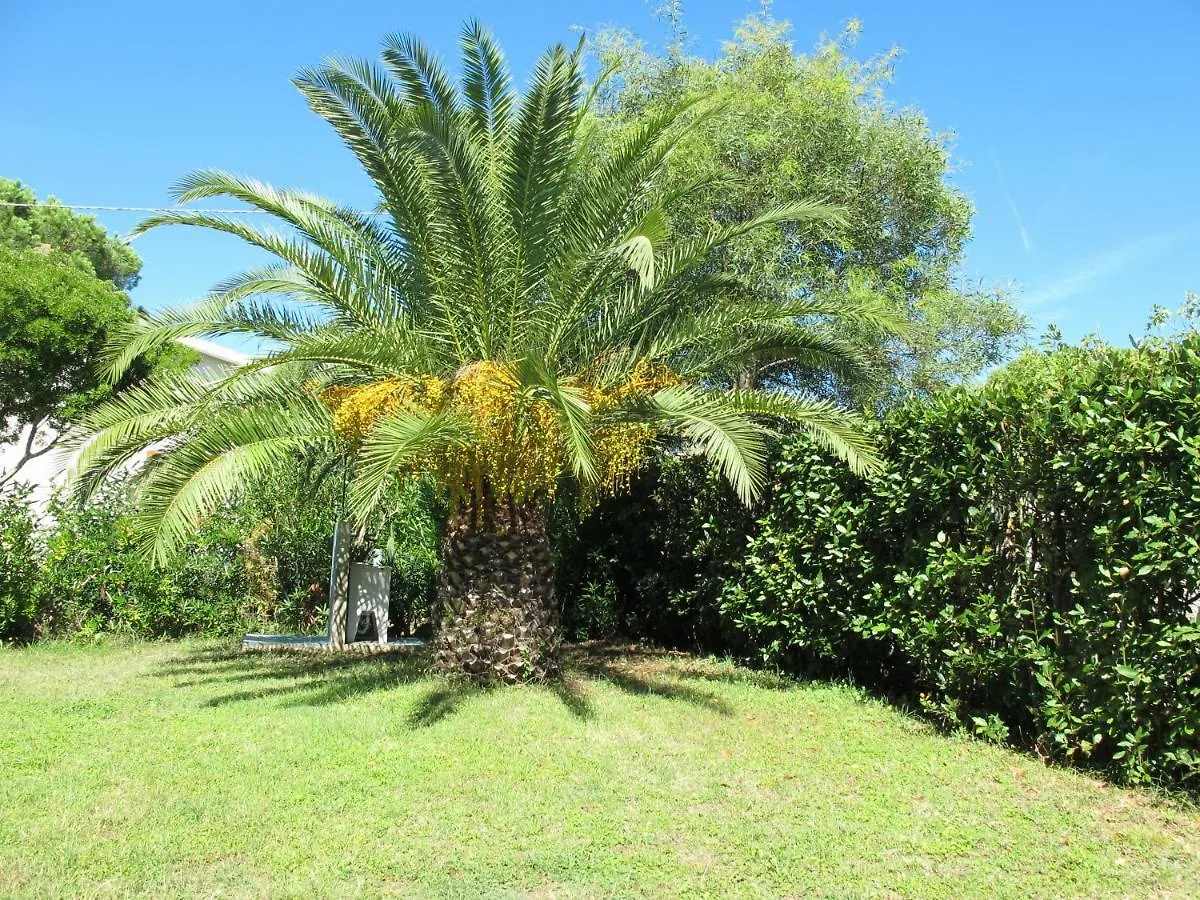 Appartamento Casaisoladelba Lacona